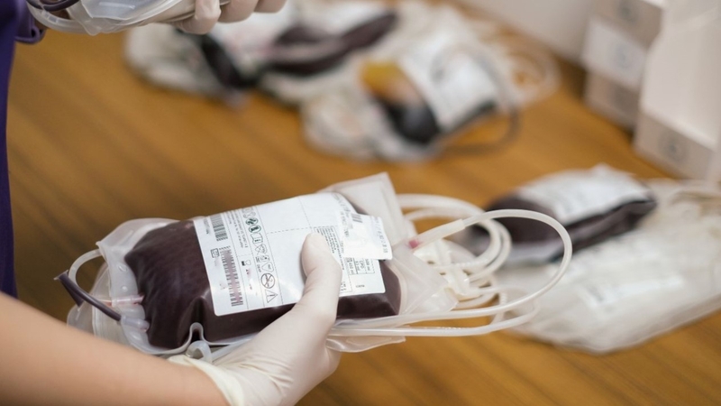 Máu nhân tạo: Tương lai của ngành y tế và những tiềm năng chưa được khai thác 2