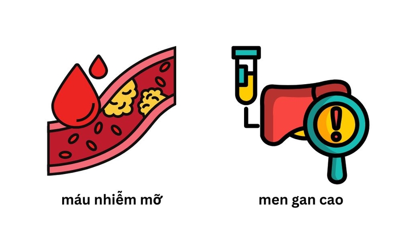 Máu nhiễm mỡ và men gan cao: Mối liên hệ nguy hiểm cần cảnh giác 3