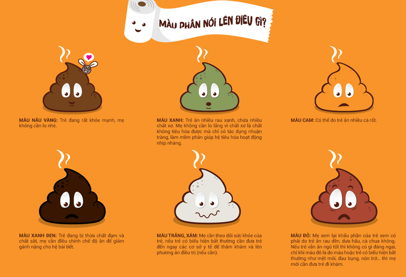 Màu phân nói lên điều gì? Hình dạng phân báo hiệu điều gì về sức khỏe? 2