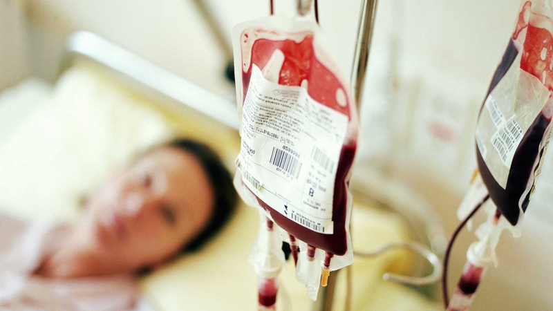 Máu toàn phần là gì? Cách bảo quản và sử dụng 3