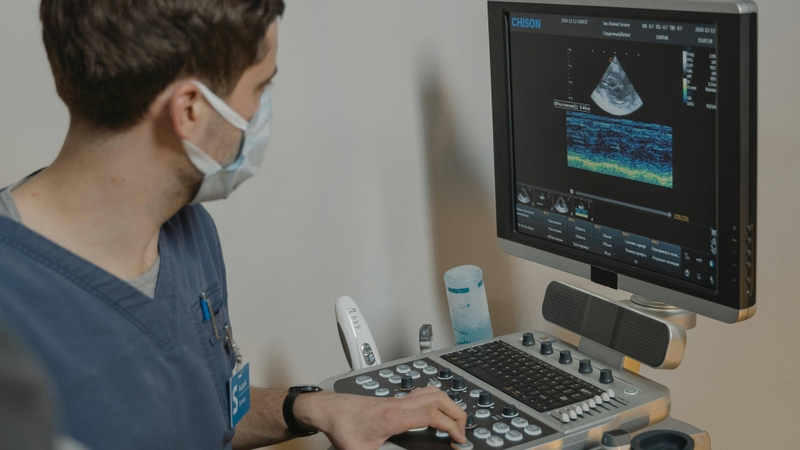 hình ảnh hiển thị theo thời gian thực giúp đánh giá chuyển động và hỗ trợ thủ thuật