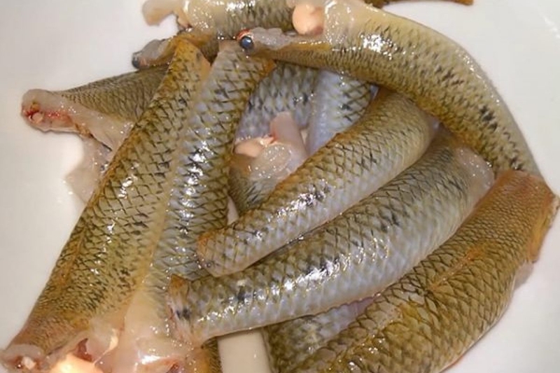 Mẹ bầu ăn cá bống được không? Cách ăn cá an toàn cho sức khỏe thai phụ 2