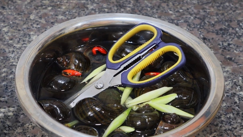 Mẹ bầu ăn ốc được không? Cần lưu ý những gì?3