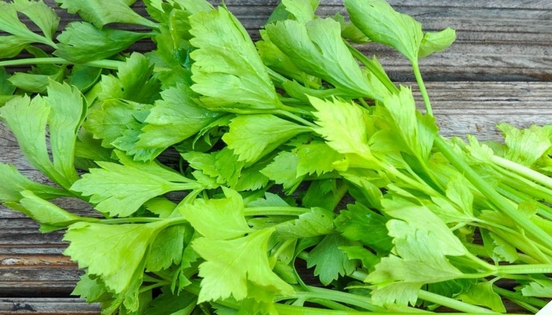 Mẹ bầu ăn rau cần tây được không? Lưu ý khi ăn rau cần tây trong thai kỳ mẹ bầu nên biết 2