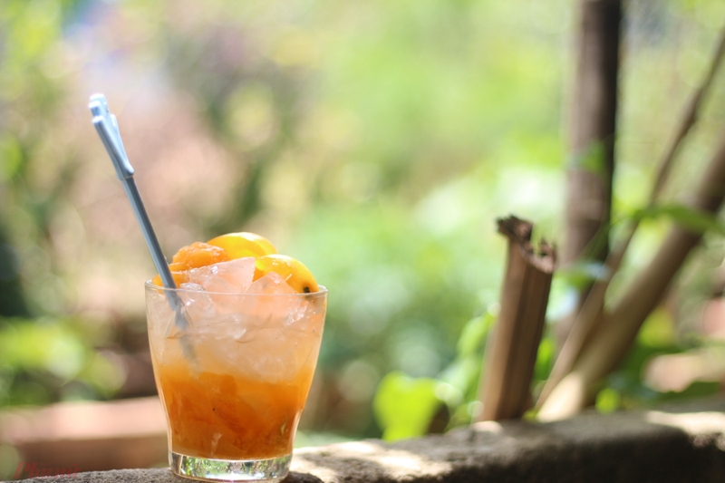 Mẹ bầu ăn thanh trà được không? Những lợi ích của quả thanh trà có thể mẹ bầu chưa biết