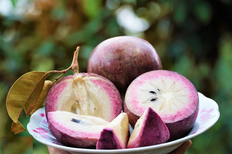 Có bầu ăn vú sữa được không