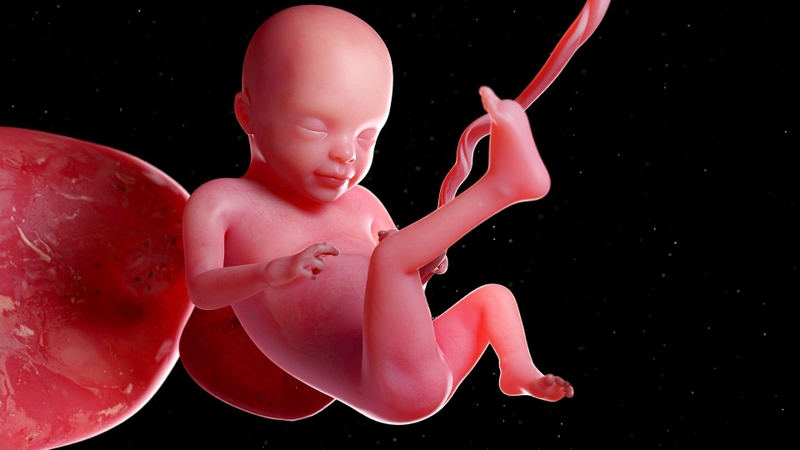 Mẹ bầu bị bánh nhau thai dày có nguy hiểm không là nỗi lo lắng của nhiều người