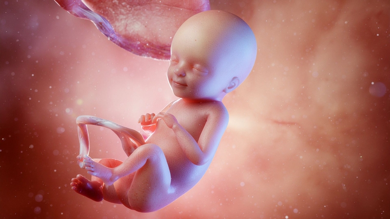 Bánh nhau dày có thể làm giảm trao đổi oxy và dưỡng chất, tăng nguy cơ thai chậm phát triển trong tử cung