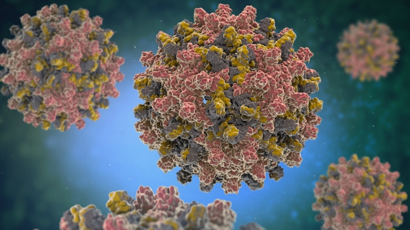 Mẹ bầu bị viêm gan B có ảnh hưởng đến con không? Cách chăm sóc mẹ bầu mắc bệnh 1