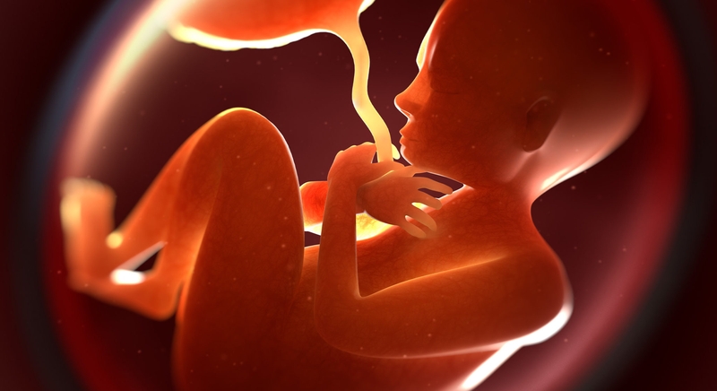 Mẹ bầu cần chú ý: Thai không đạp bao lâu thì nguy hiểm? 3