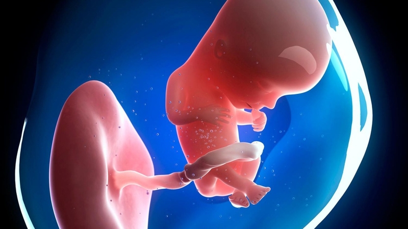 Mẹ bầu xem điện thoại nhiều có sao không? Lời khuyên từ chuyên gia 3