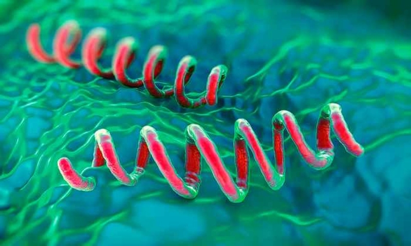 Mẹ bị giang mai có cho con bú được không? Vì sao? 1