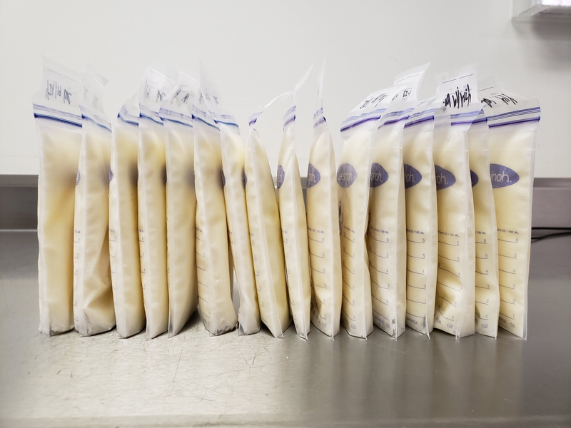 Mẹ bỉm cần biết: Sữa mẹ vắt ra để được bao lâu ở nhiệt độ thường? 5