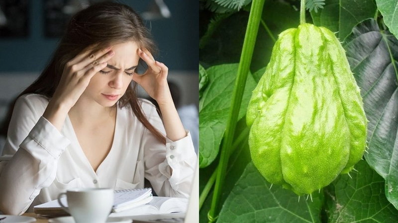 Mẹ bỉm sau sinh ăn su su được không? Mách mẹ cách nấu món ăn ngon từ su su 2