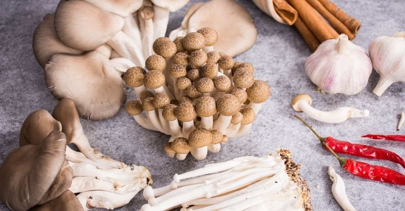 Mẹ bỉm sữa sau sinh ăn nấm được không? Nên ăn như thế nào mới an toàn? 2