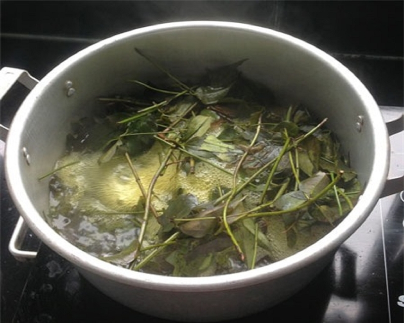 Mề đay tắm lá khế có hiệu quả không 3