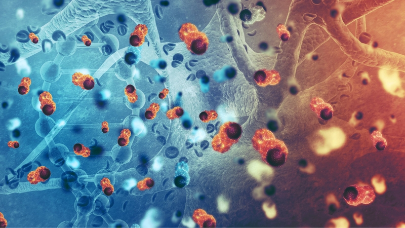 Mè đen chứa axit phytic hỗ trợ ức chế tế bào ung thư