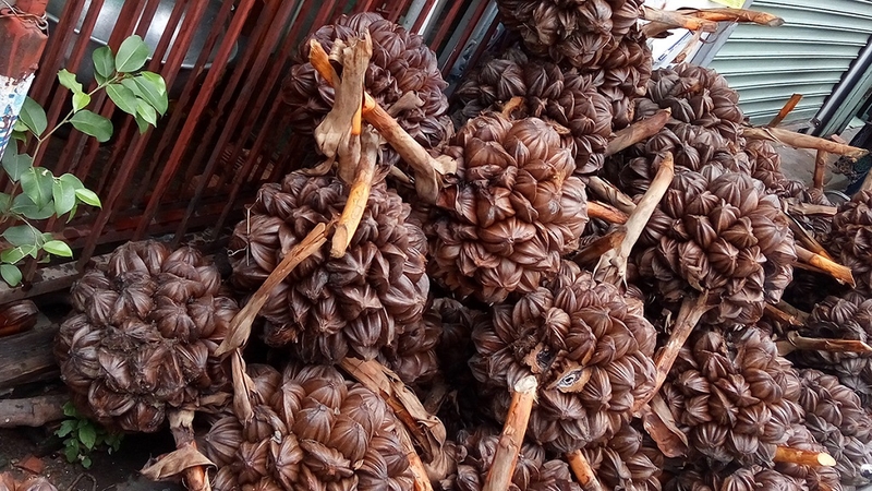 Mẹ sau sinh ăn dừa nước được không? Cần lưu ý gì khi ăn dừa nước? 1