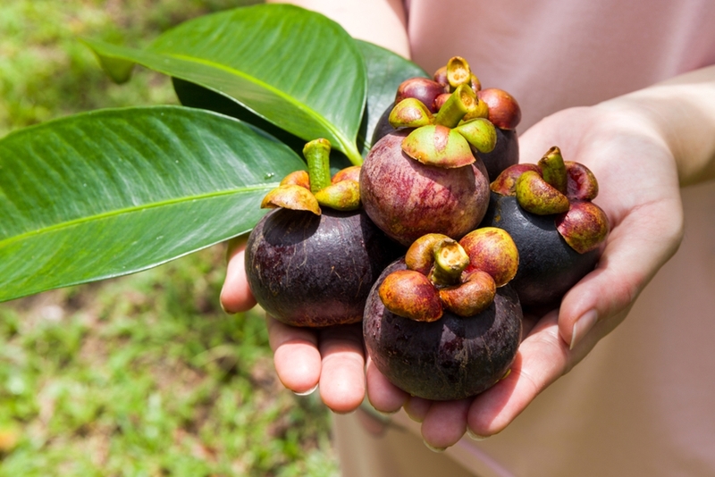 mẹ sau sinh ăn măng cụt được không 0