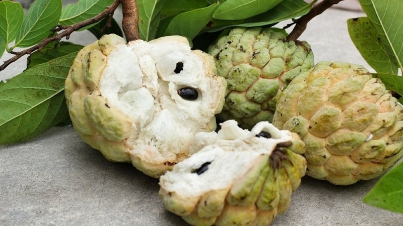 Mẹ sau sinh ăn na được không? Lợi ích của na cho mẹ sau sinh và các lưu ý cần thiết