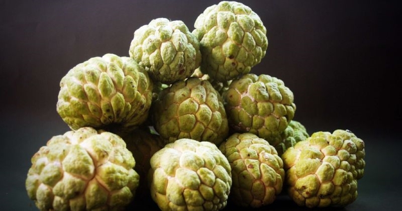 Mẹ sau sinh ăn na được không? Lợi ích của na cho mẹ sau sinh và các lưu ý cần thiết