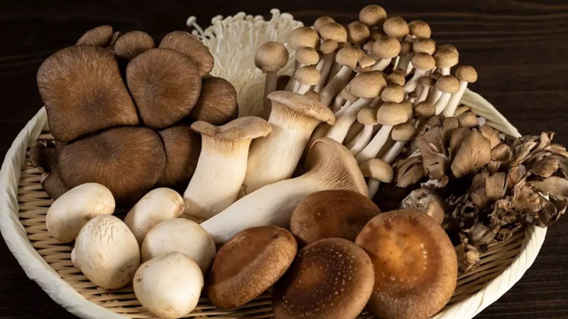 Mẹ sau sinh ăn nấm được không khi nấm chứa nhiều chất dinh dưỡng? 1