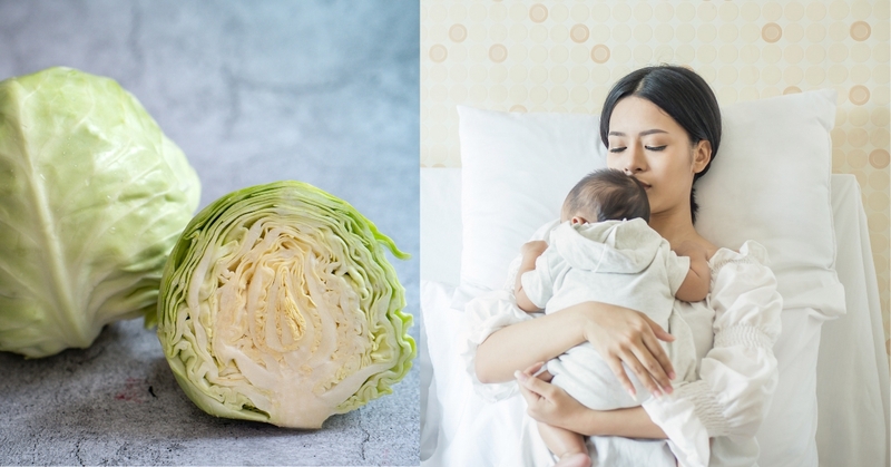 Mẹ sau sinh ăn rau cải có mất sữa không? 2