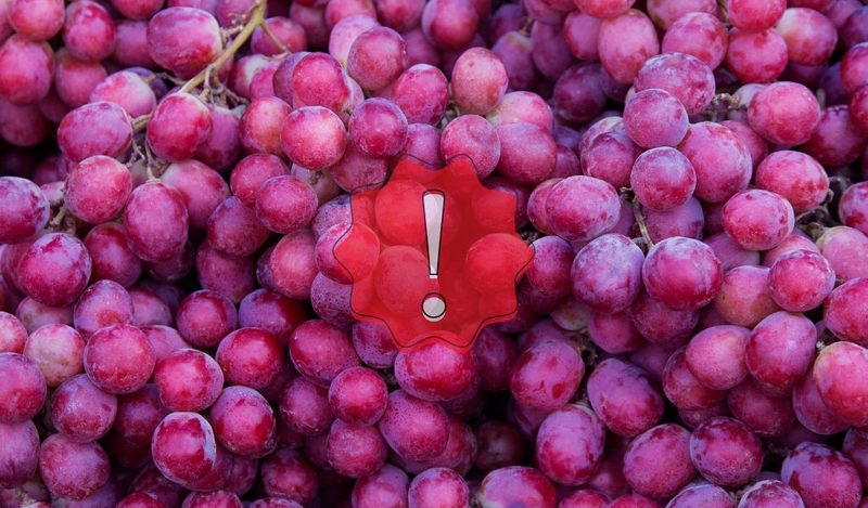 Mẹ sinh mổ ăn nho được không? Một số mẹo giúp mẹ lựa chọn nho ngon và an toàn cho sức khỏe 3