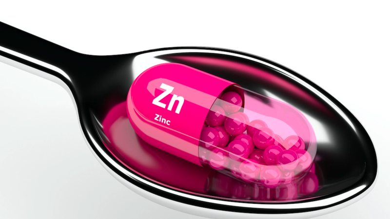 Men chứa kẽm là gì? Hiệu quả của men chứa kẽm trong cải thiện hệ vi sinh đường ruột 2