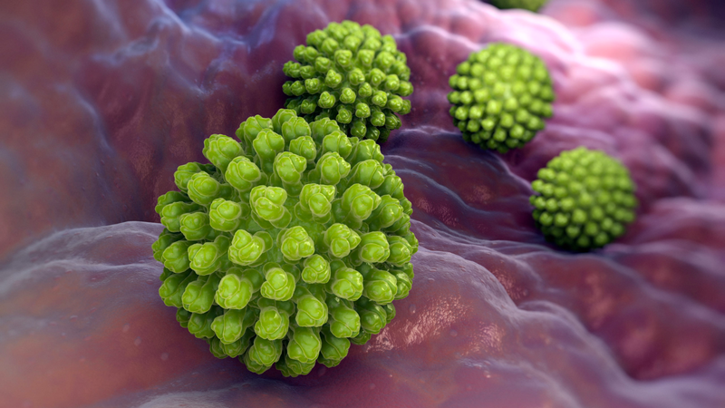 Men chứa kẽm là gì? Hiệu quả của men chứa kẽm trong cải thiện hệ vi sinh đường ruột 4