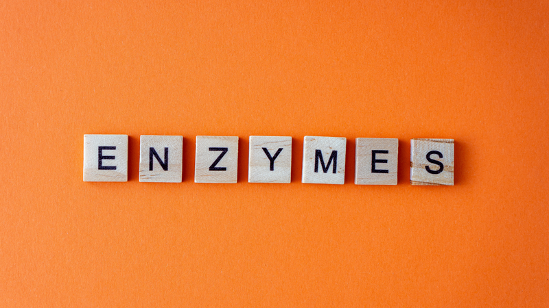 Men tiêu hóa cho người lớn​ có tác dụng gì?1