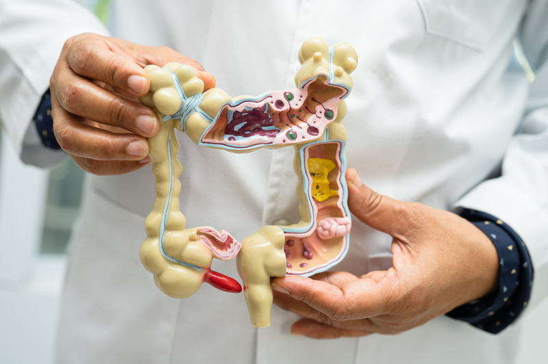 Men tiêu hóa là gì? Công dụng của các loại men tiêu hóa 2