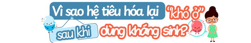 Men vi sinh: Bí quyết phục hồi đường ruột trong và sau khi dùng kháng sinh 1