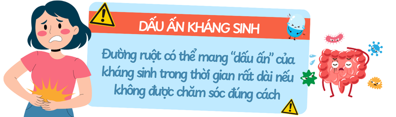 Men vi sinh: Bí quyết phục hồi đường ruột trong và sau khi dùng kháng sinh 3