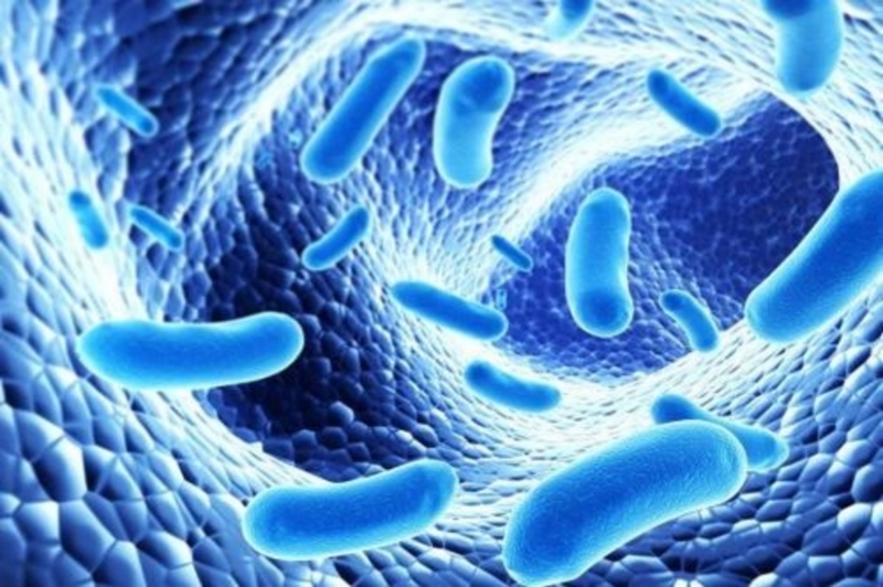 Men vi sinh là gì? Có nên dùng men vi sinh cho trẻ sơ sinh không? 1