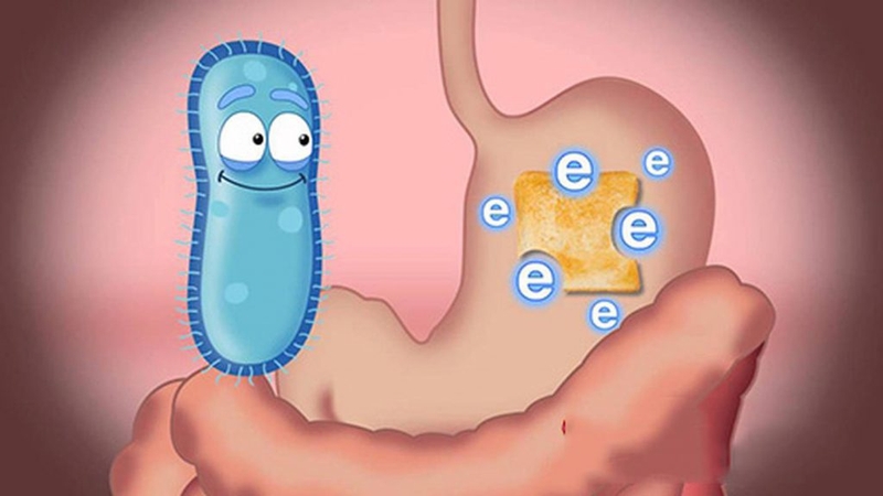 Men vi sinh là gì? Có nên dùng men vi sinh cho trẻ sơ sinh không? 3