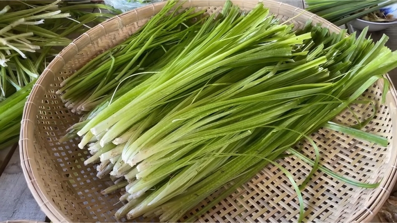 Mẹo chữa táo bón cho trẻ bằng lá hẹ đơn giản và hiệu quả cực cao 2