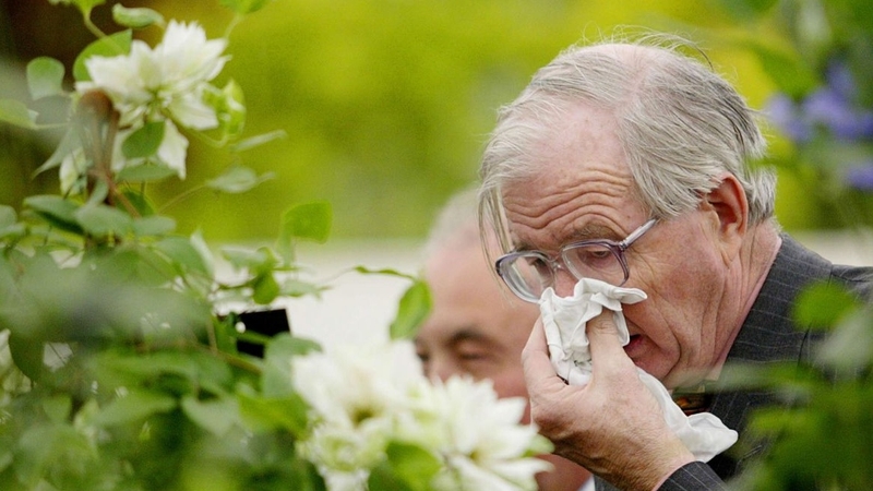 Bệnh viêm mũi dị ứng thời tiết: Nguyên nhân, dấu hiệu và cách chữa trị 1