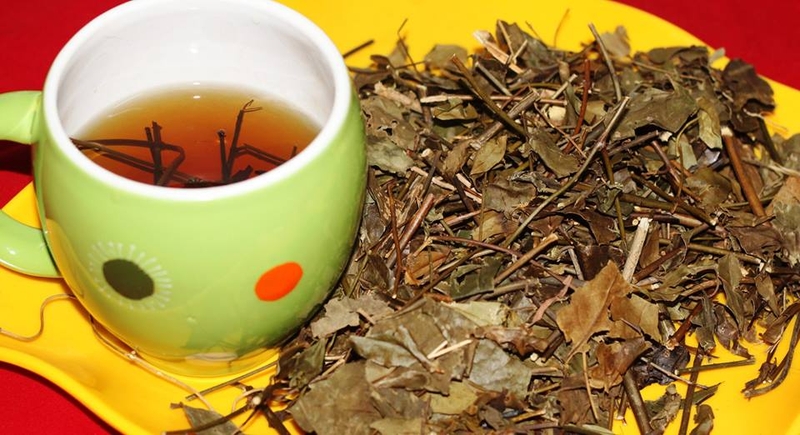 Mẹo dân gian giúp mẹ nhiều sữa bằng lá bồ công anh.-3