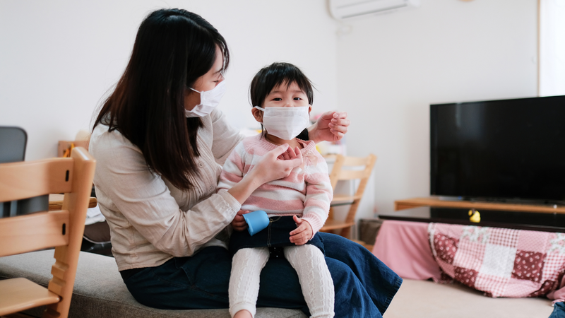 Mèo nhà mắc cúm gia cầm có thể gây nguy hiểm cho sức khỏe cộng đồng 2