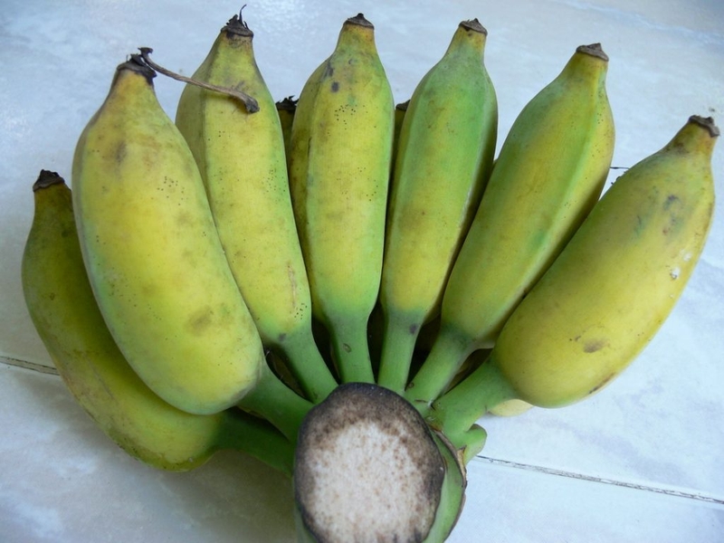 Trị bệnh đau dạ dày bằng chuối hột