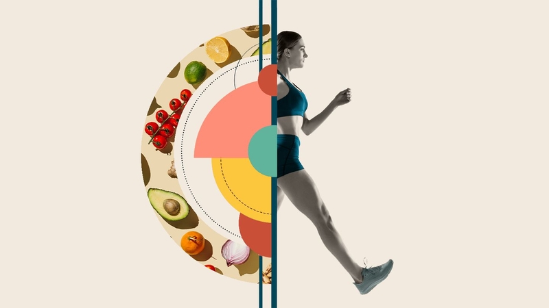 Metabolism là gì? Ảnh hưởng đến cân nặng như thế nào? 4