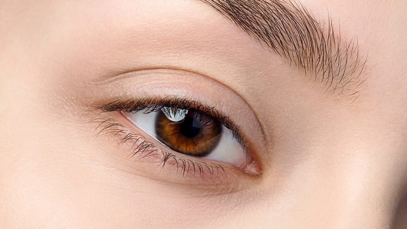 Mí mắt: Cấu tạo, chức năng và những bệnh lý thường gặp 1