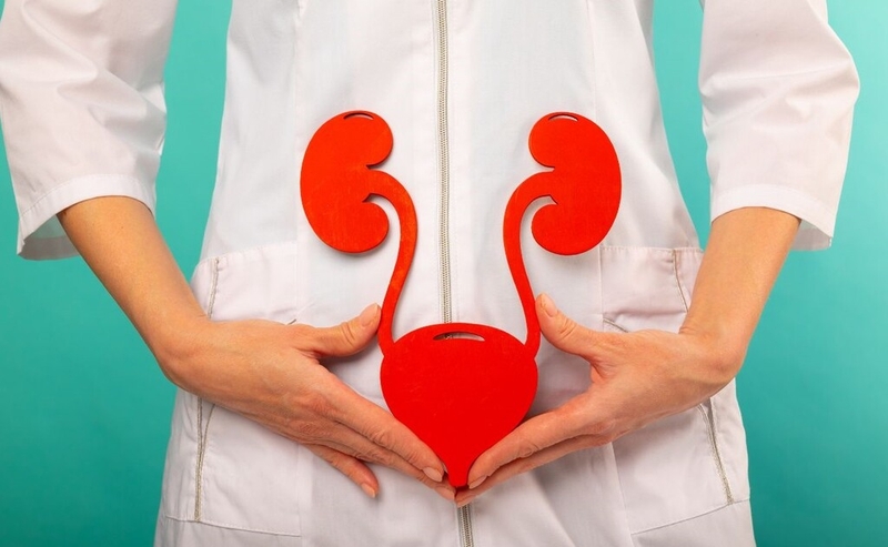 Mictasol Bleu là thuốc gì? Chỉ định, chống chỉ định và lưu ý khi sử dụng 2