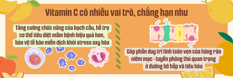 Vai trò của vitamin C