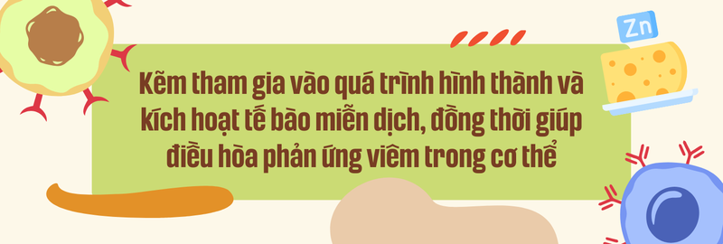 Vai trò của kẽm