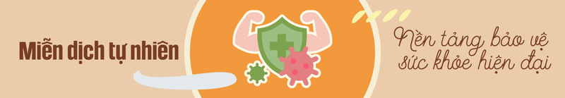 Miễn dịch tự nhiên - Nền tảng bảo vệ sức khỏe hiện đại
