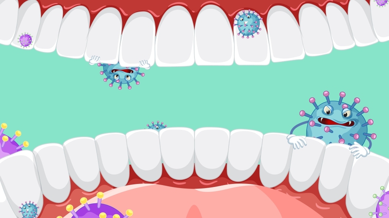 tat-tan-tat-ve-mieng-nguoi-cau-truc-va-chuc-nang-quan-trong 4