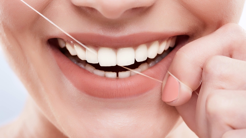 tat-tan-tat-ve-mieng-nguoi-cau-truc-va-chuc-nang-quan-trong 5