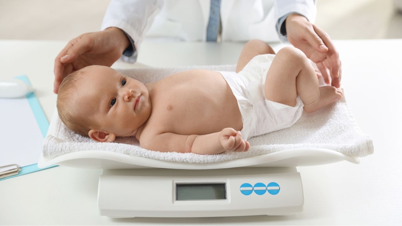 Milk Lipid Complex (MLC) giúp bảo vệ ruột, tăng hấp thu và hỗ trợ bé tăng cân khỏe mạnh